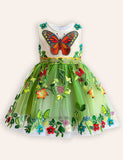 Butterfly Applique Tulle Dress