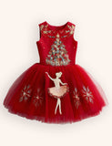 Christmas Ballet Tulle Appliqué Dress
