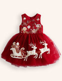 Tulle Sleds Reindeer Embroidered Dress