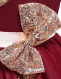 Satin Sequined Party Dress - Mini Taylor