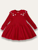 Floral Embroidered Knitted Dress