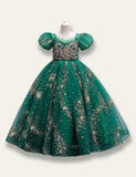 Floral Princess Starry Tulle Dress - Mini Taylor