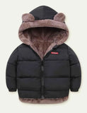 Lambswool Cotton-Padded Jacket - Mini Taylor